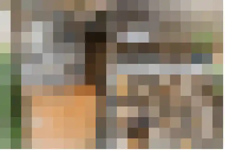 Balearen 20 Utrecht thumbnail 36