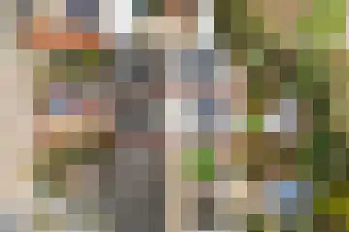 Balearen 20 Utrecht thumbnail 37