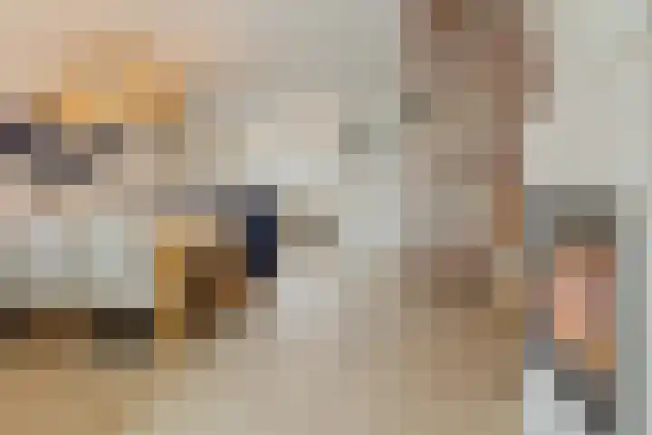 Balearen 20 Utrecht thumbnail 4
