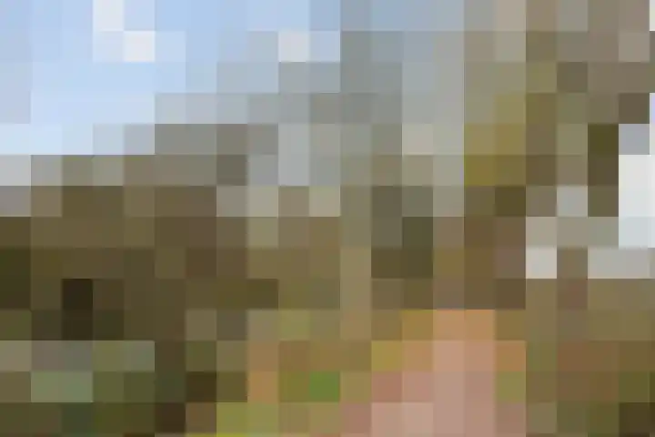 Balearen 20 Utrecht thumbnail 41