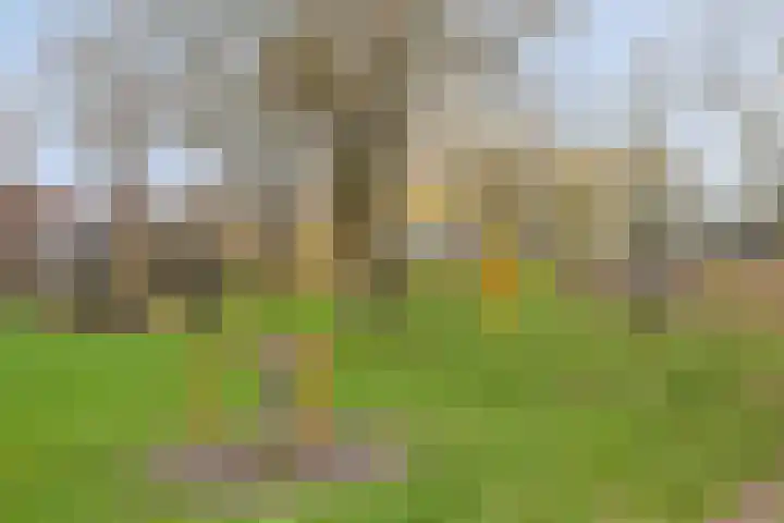 Balearen 20 Utrecht thumbnail 42