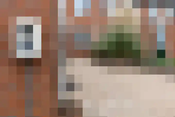 Balearen 20 Utrecht thumbnail 6