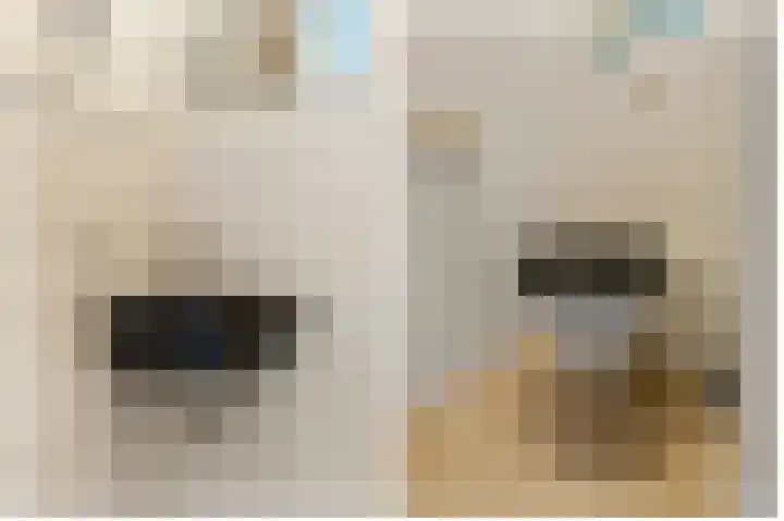 Balearen 20 Utrecht thumbnail 8