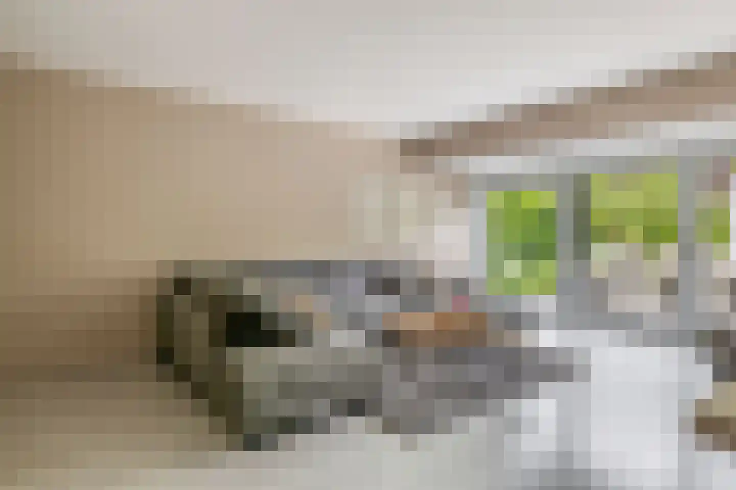 Balearen 7 Capelle aan den IJssel thumbnail 12