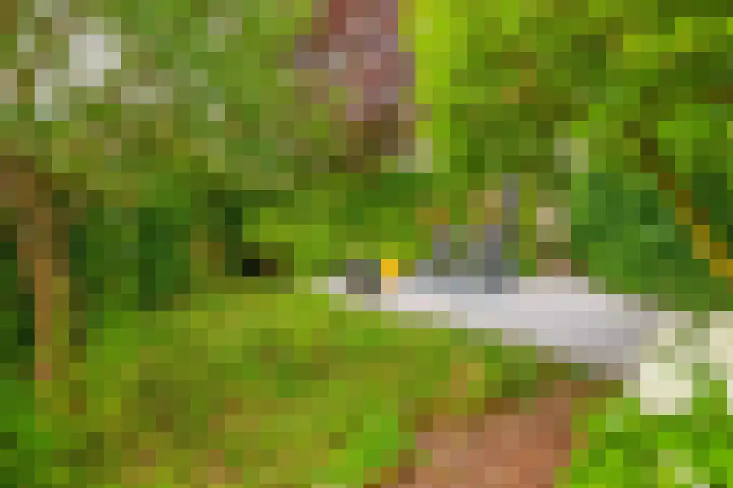 Balearen 7 Capelle aan den IJssel thumbnail 26