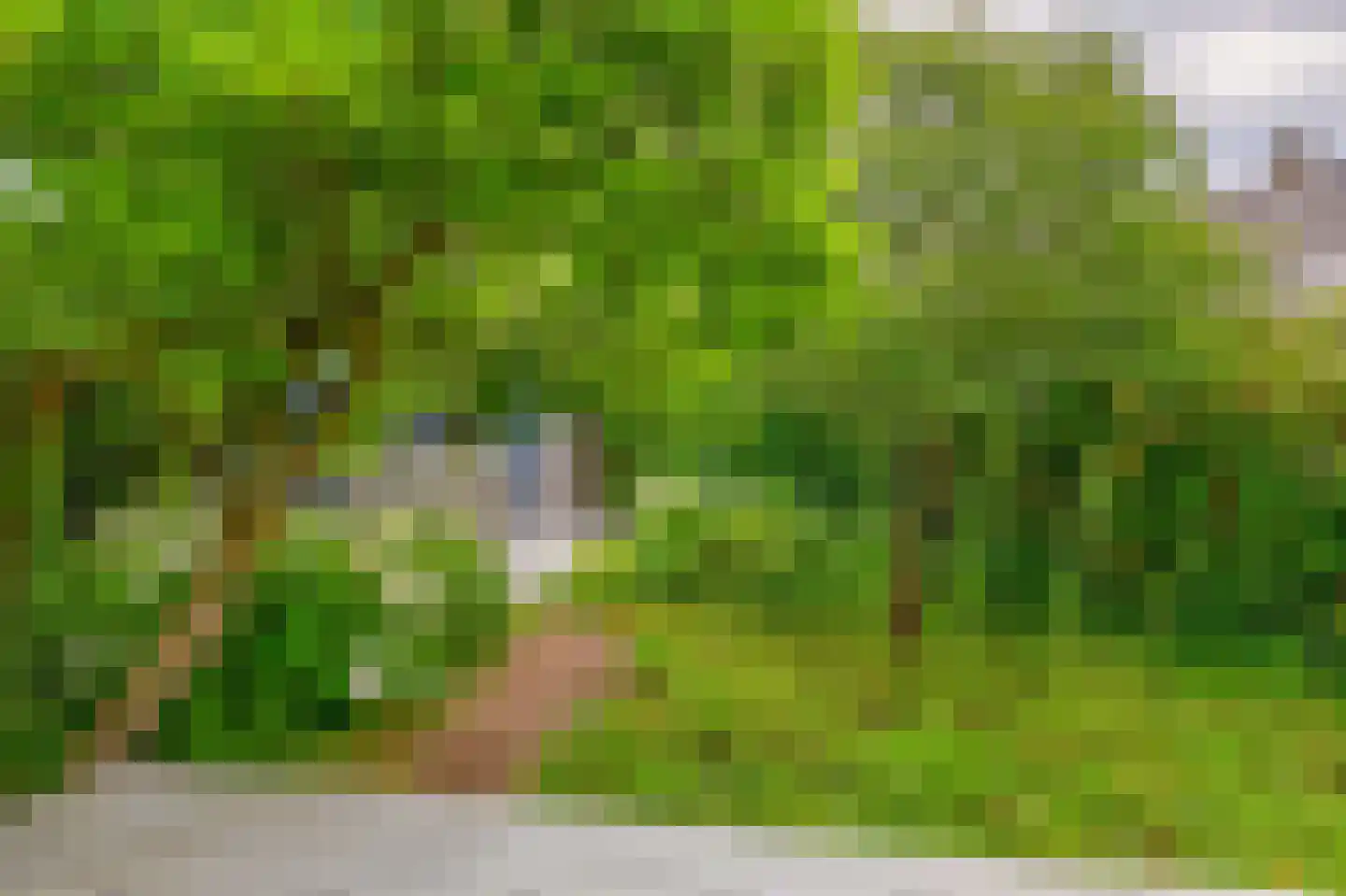 Balearen 7 Capelle aan den IJssel thumbnail 28
