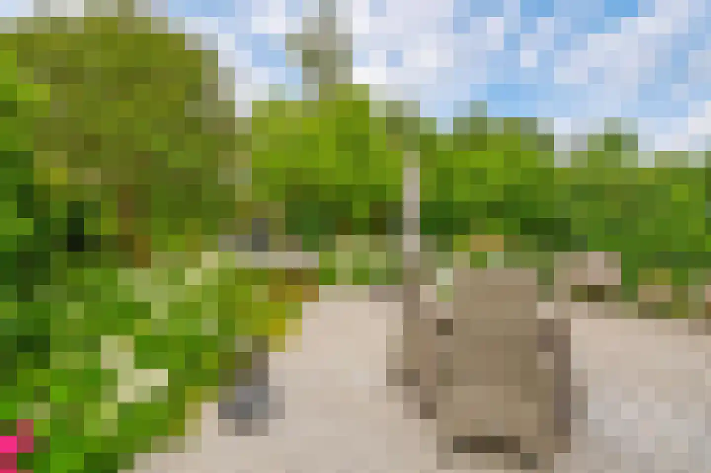 Balearen 7 Capelle aan den IJssel thumbnail 4
