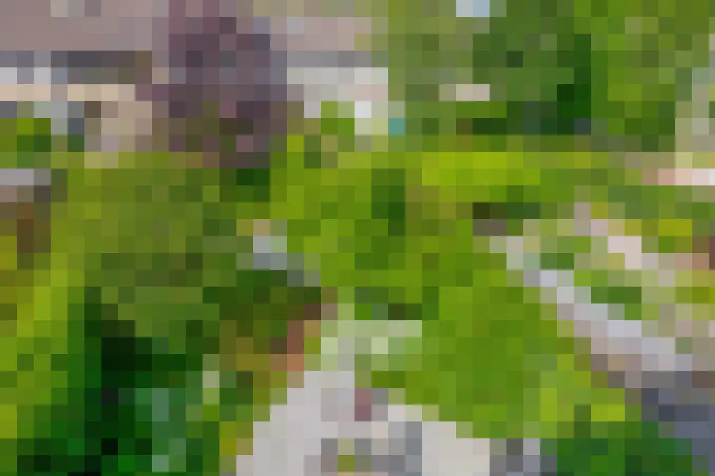 Balearen 7 Capelle aan den IJssel thumbnail 45