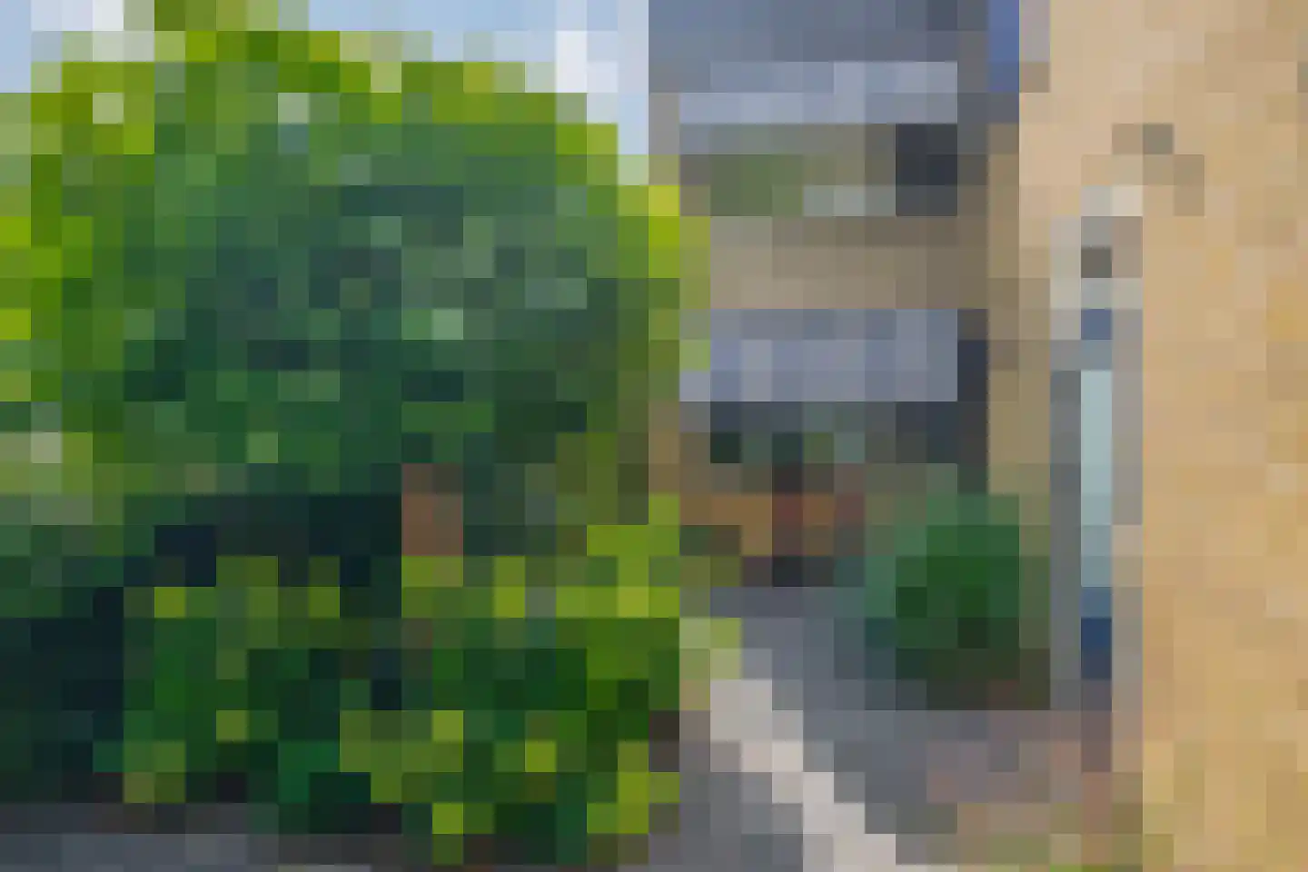Balearen 7 Capelle aan den IJssel thumbnail 7