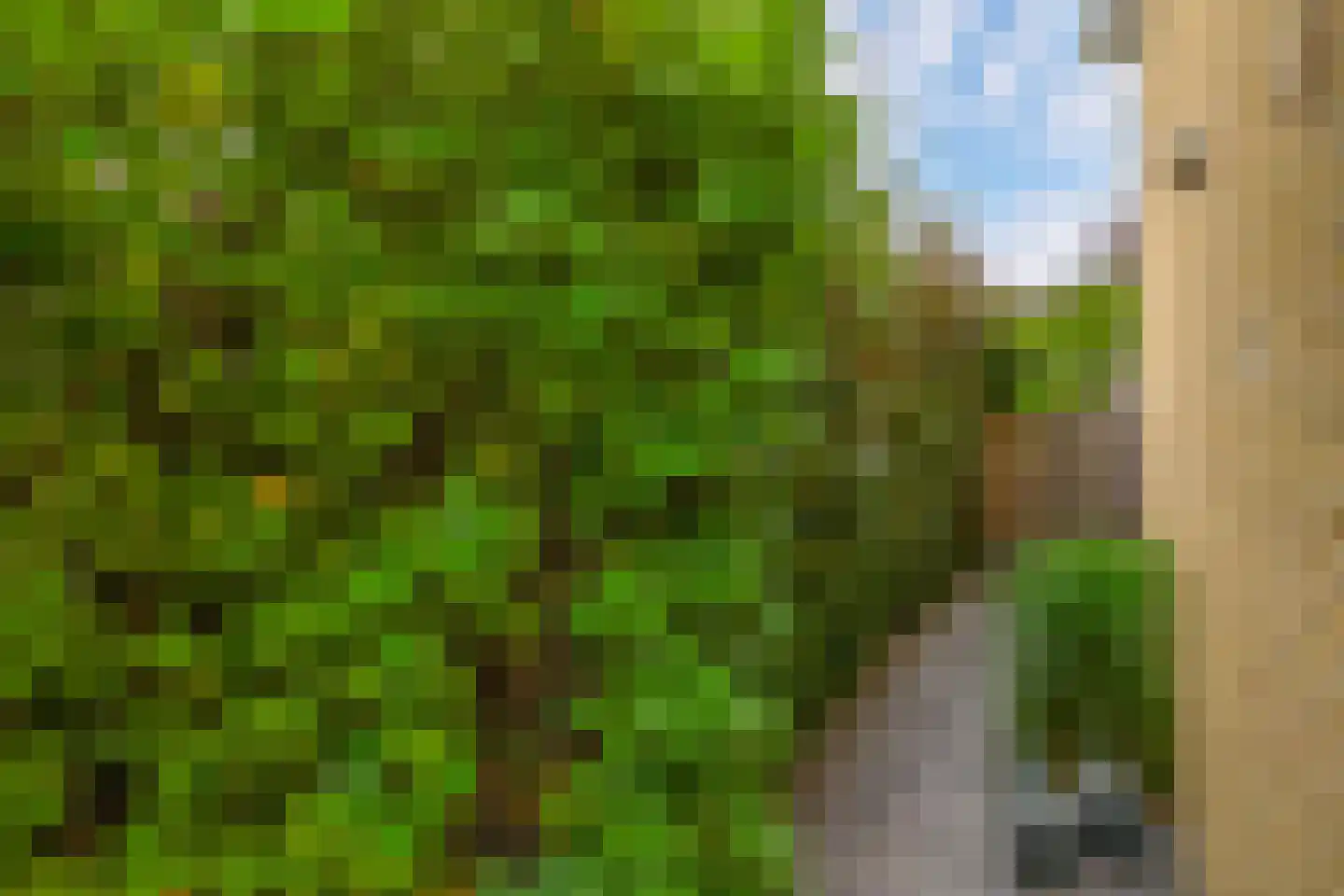 Balearen 7 Capelle aan den IJssel thumbnail 8