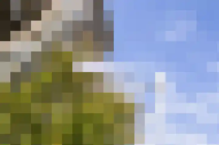 Balen van Andelplein 119 Voorburg thumbnail 23