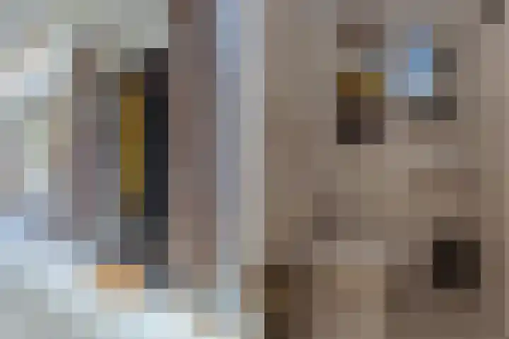 Balensteeg 3 c Gorinchem thumbnail 7