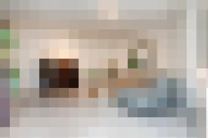 Balg 27 Hoofddorp thumbnail 12