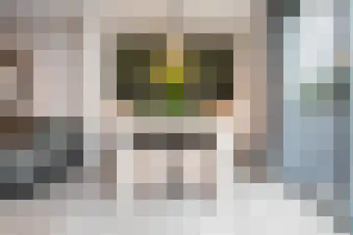 Balg 27 Hoofddorp thumbnail 13