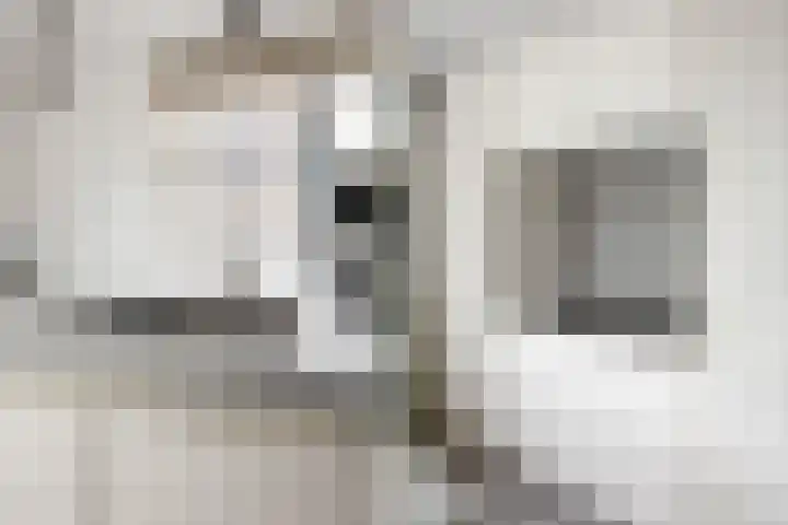 Balg 27 Hoofddorp thumbnail 15