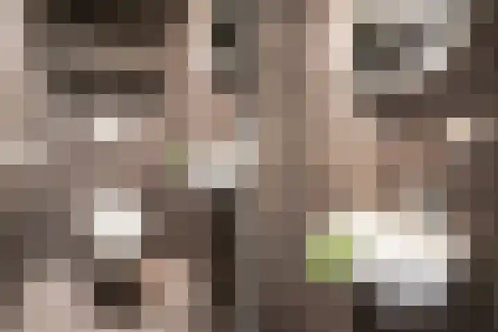Balg 27 Hoofddorp thumbnail 18