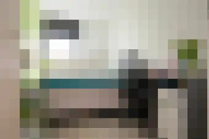 Balg 27 Hoofddorp thumbnail 23