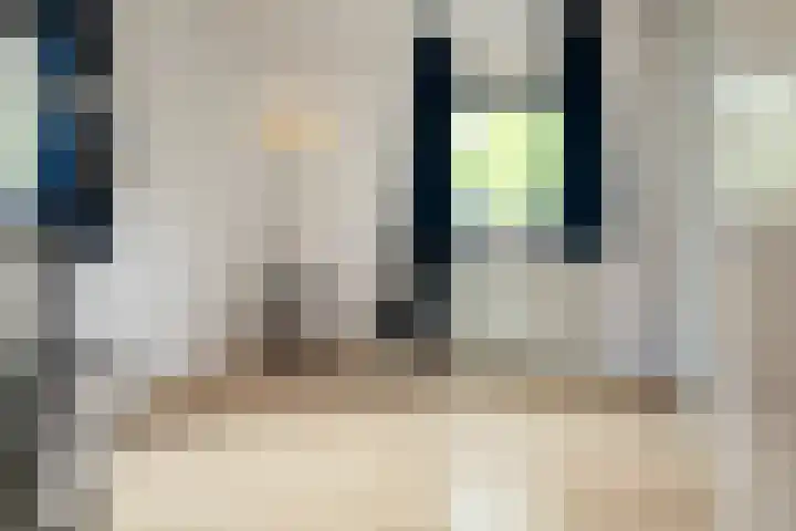 Balg 27 Hoofddorp thumbnail 28
