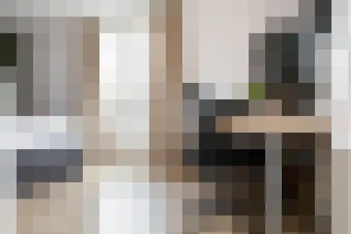 Balg 27 Hoofddorp thumbnail 29