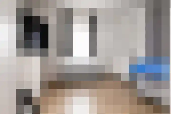 Balg 27 Hoofddorp thumbnail 32