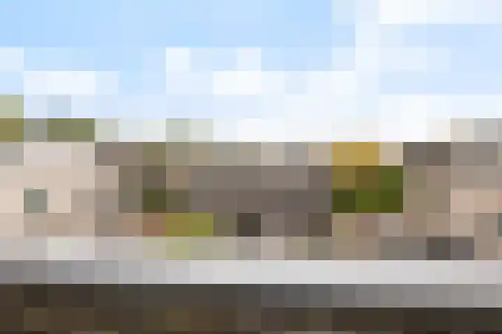 Balg 27 Hoofddorp thumbnail 38