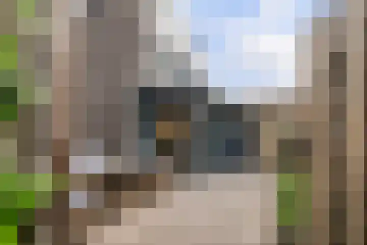 Balg 27 Hoofddorp thumbnail 39