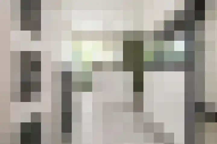 Balg 27 Hoofddorp thumbnail 4