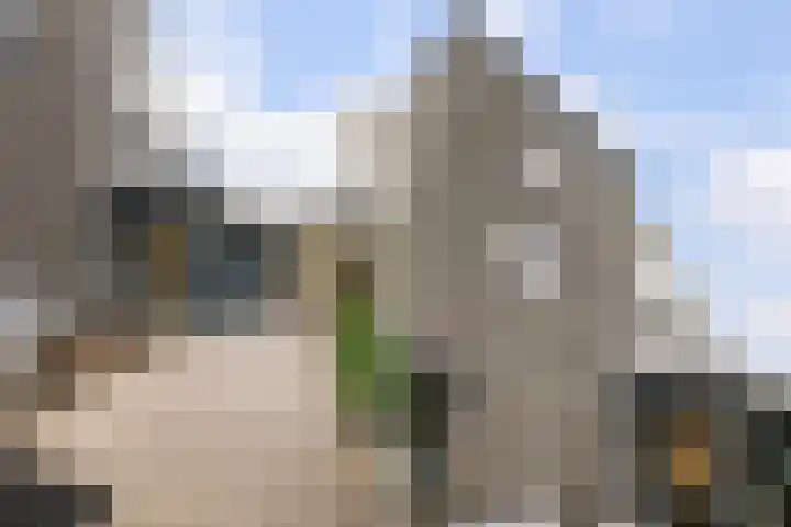 Balg 27 Hoofddorp thumbnail 40