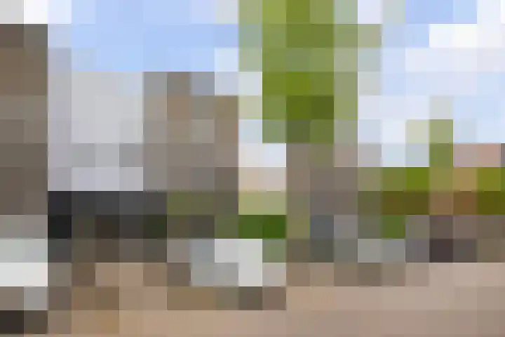 Balg 27 Hoofddorp thumbnail 46