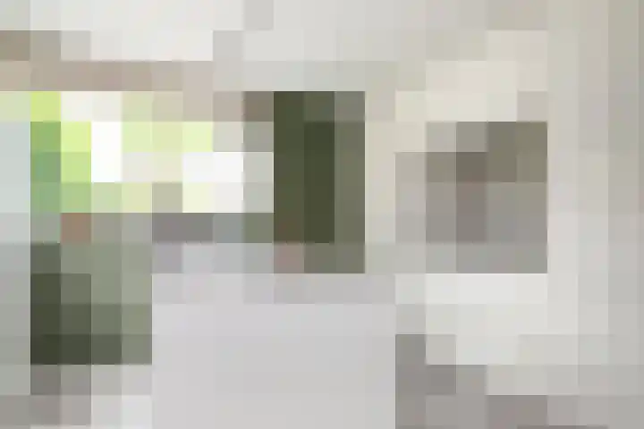 Balg 27 Hoofddorp thumbnail 5