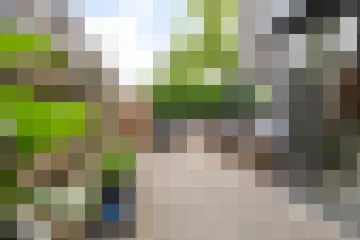 Balg 27 Hoofddorp thumbnail 6