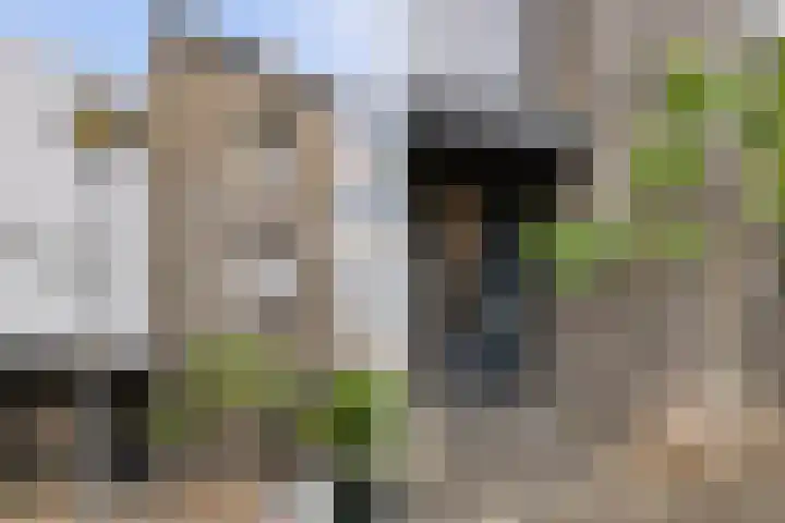 Balg 27 Hoofddorp thumbnail 7