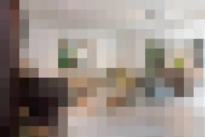 Balg 27 Hoofddorp thumbnail 9