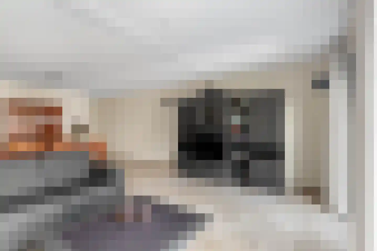 Balg 49 Hoofddorp thumbnail 18