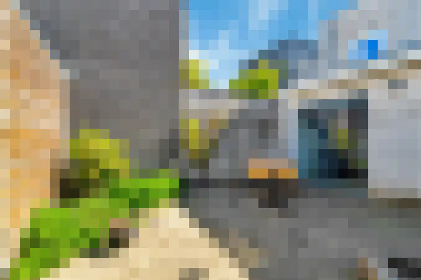 Balg 49 Hoofddorp thumbnail 20