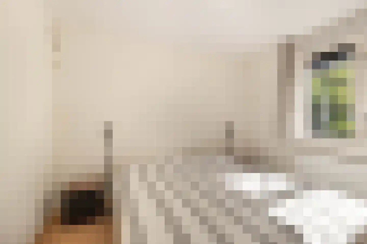 Balg 49 Hoofddorp thumbnail 23