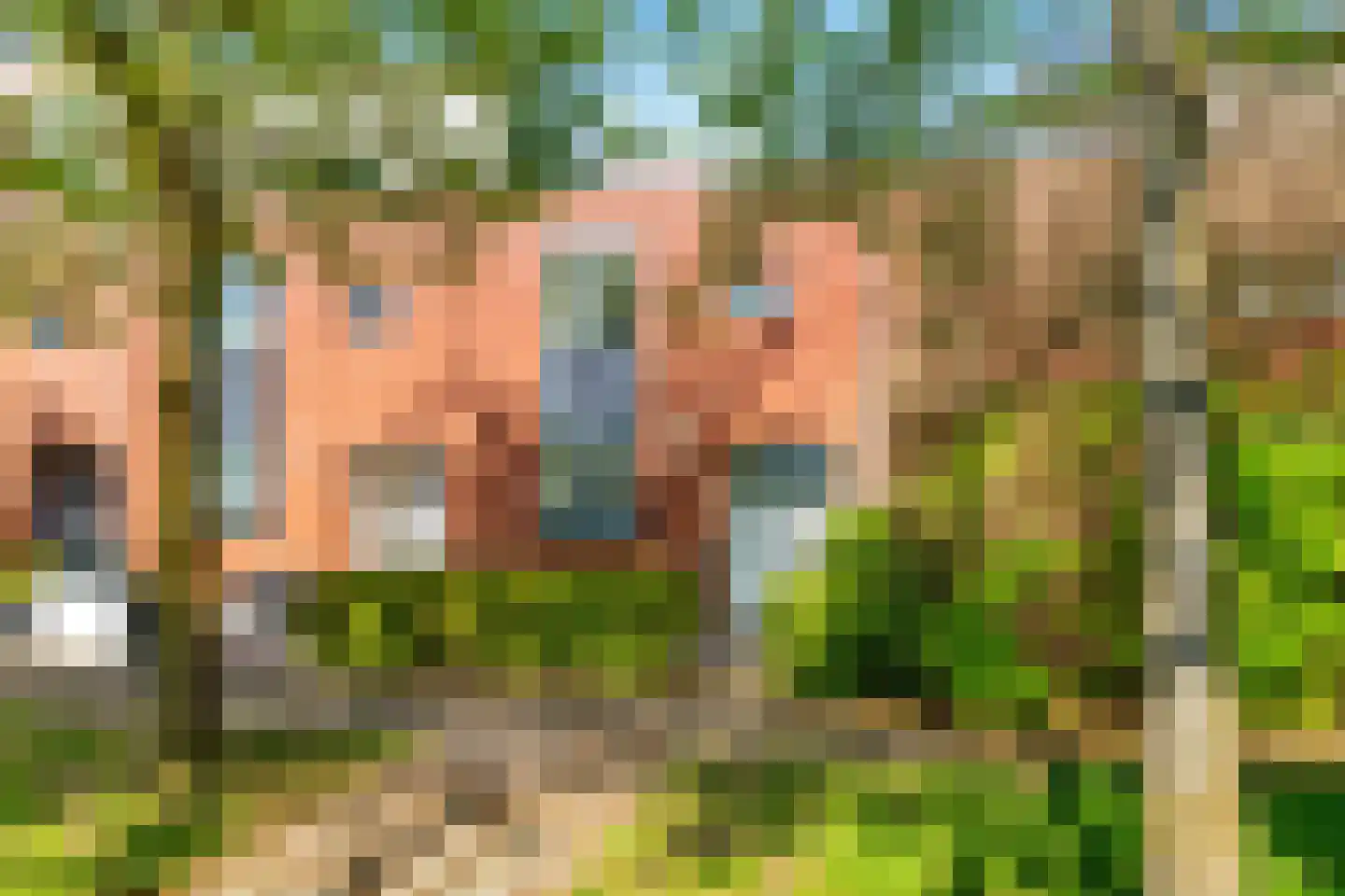 Balg 49 Hoofddorp thumbnail 31