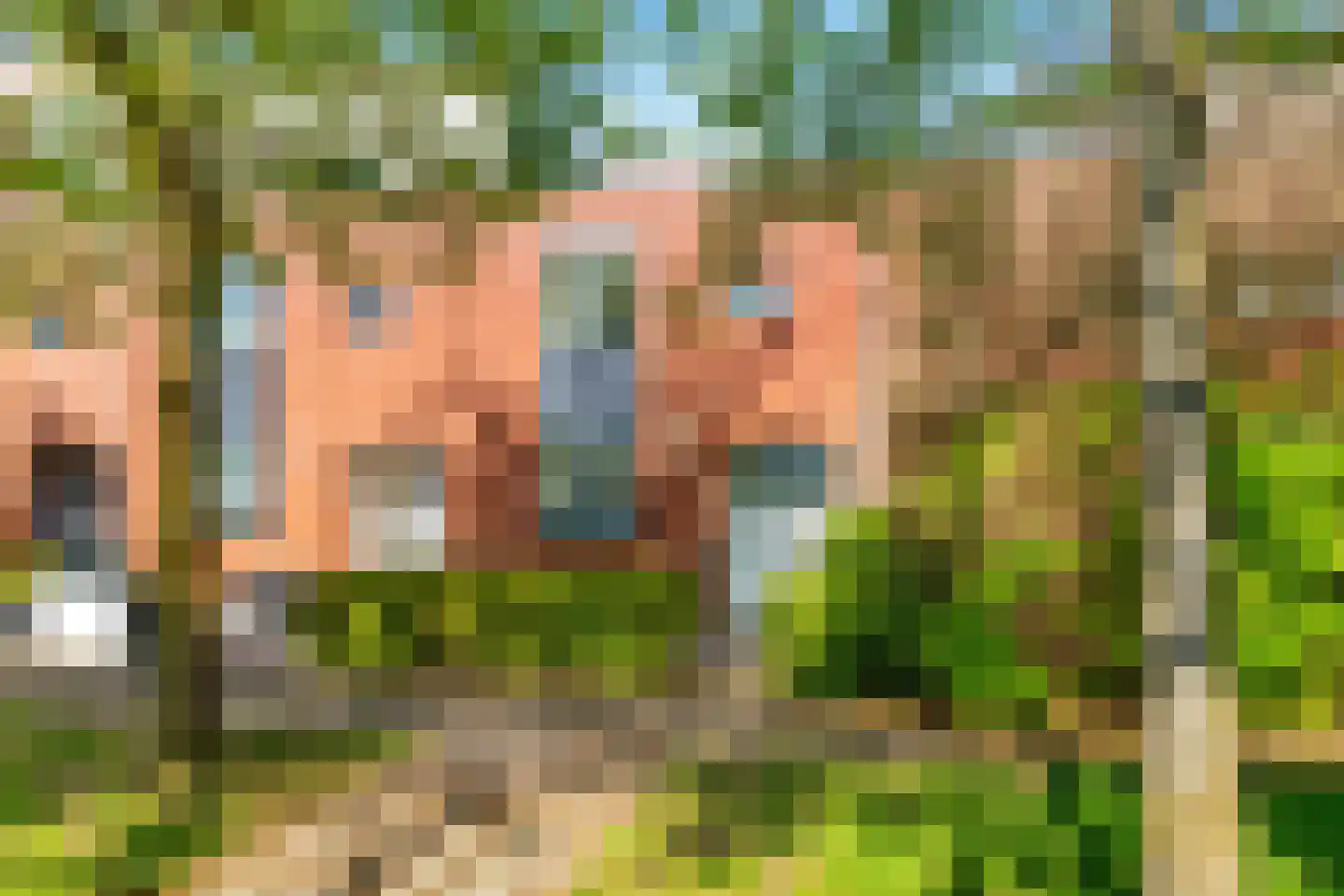 Balg 49 Hoofddorp thumbnail 31