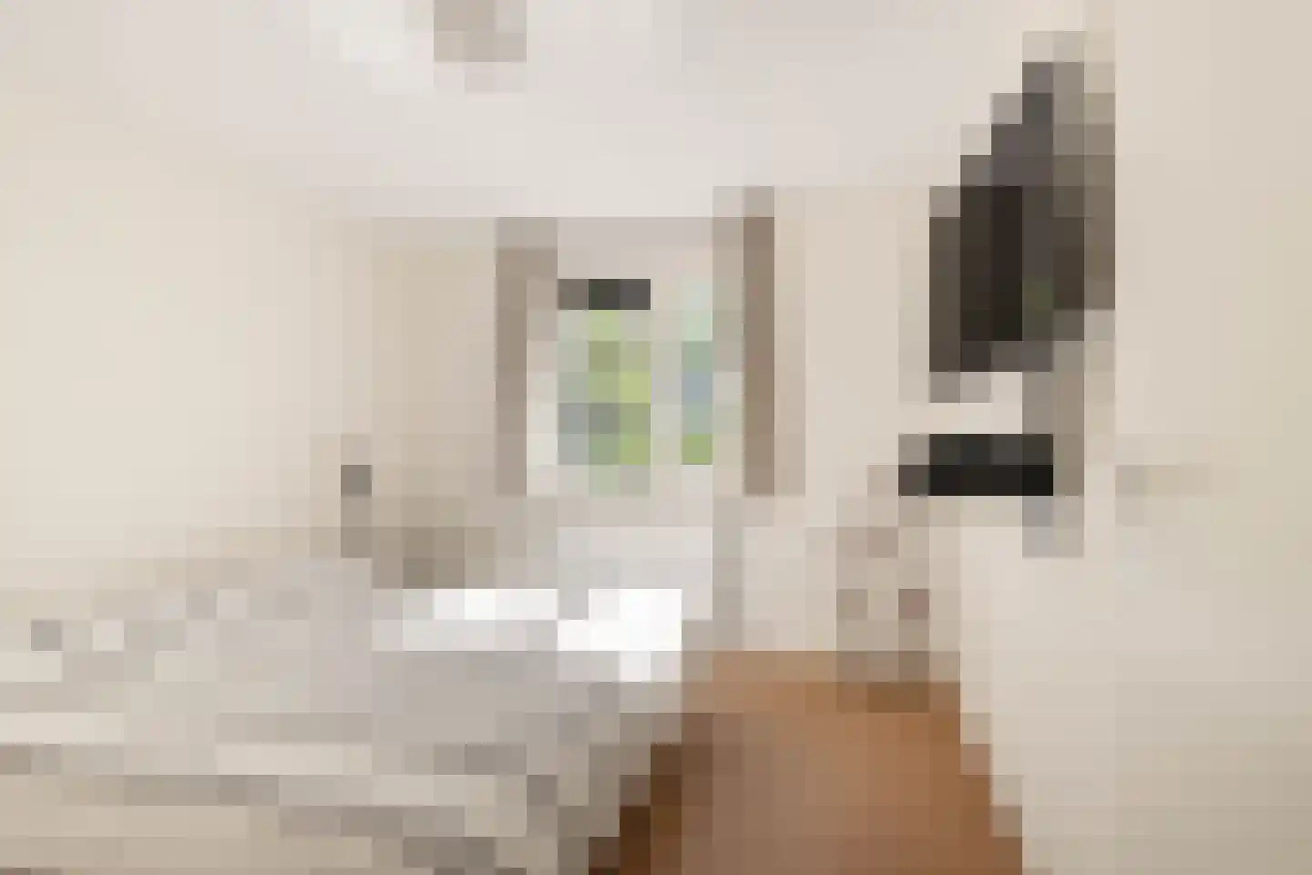 Balg 49 Hoofddorp thumbnail 5