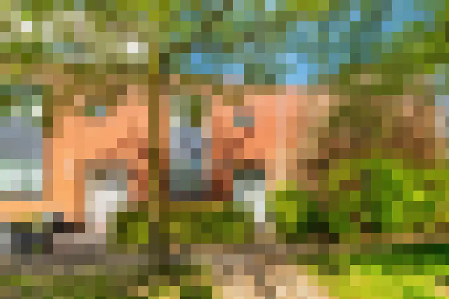 Balg 49 Hoofddorp thumbnail 7