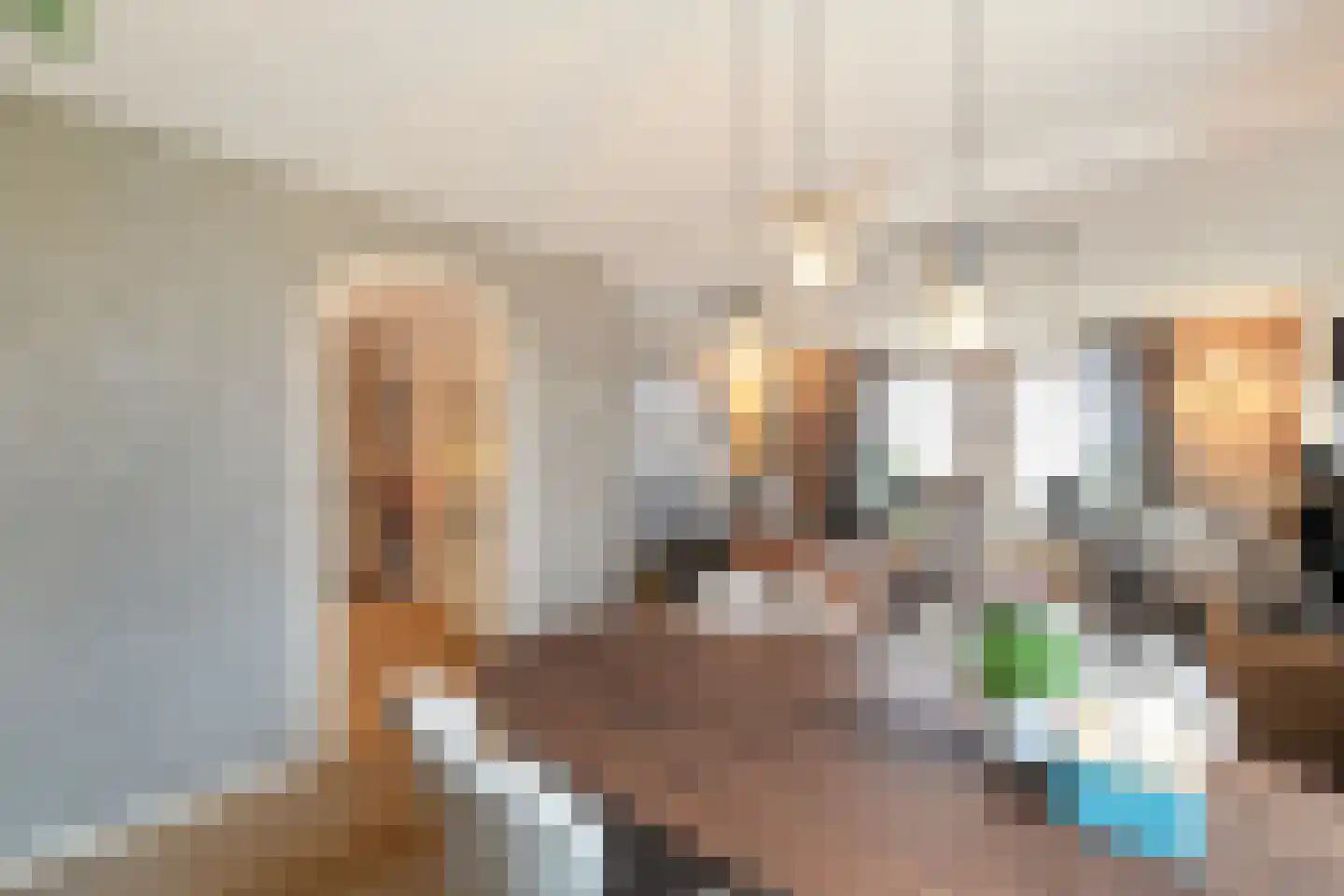 Balgweg 10 Breezand thumbnail 11