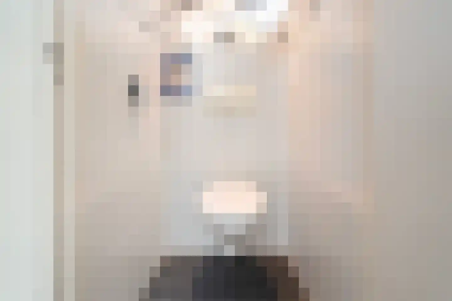 Balgweg 10 Breezand thumbnail 20