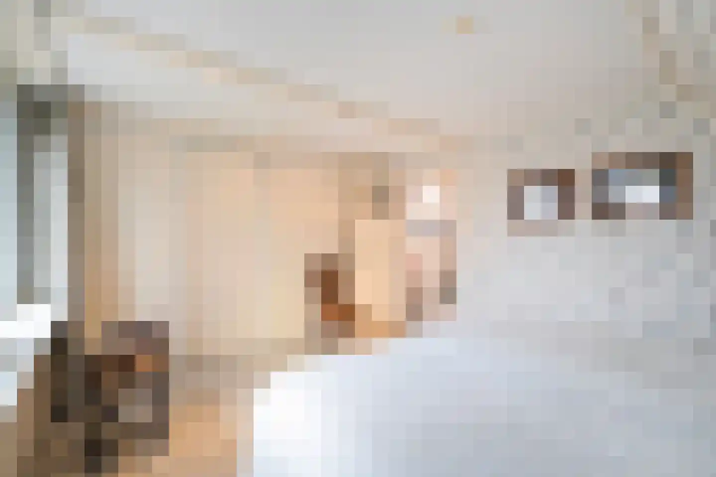 Balgweg 10 Breezand thumbnail 24