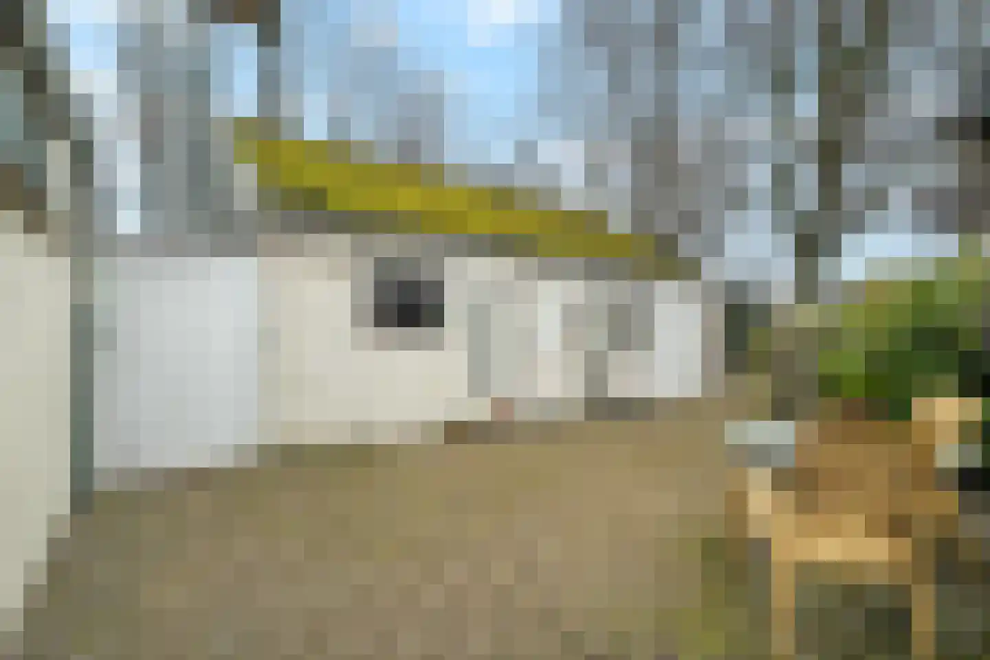 Balgweg 10 Breezand thumbnail 29