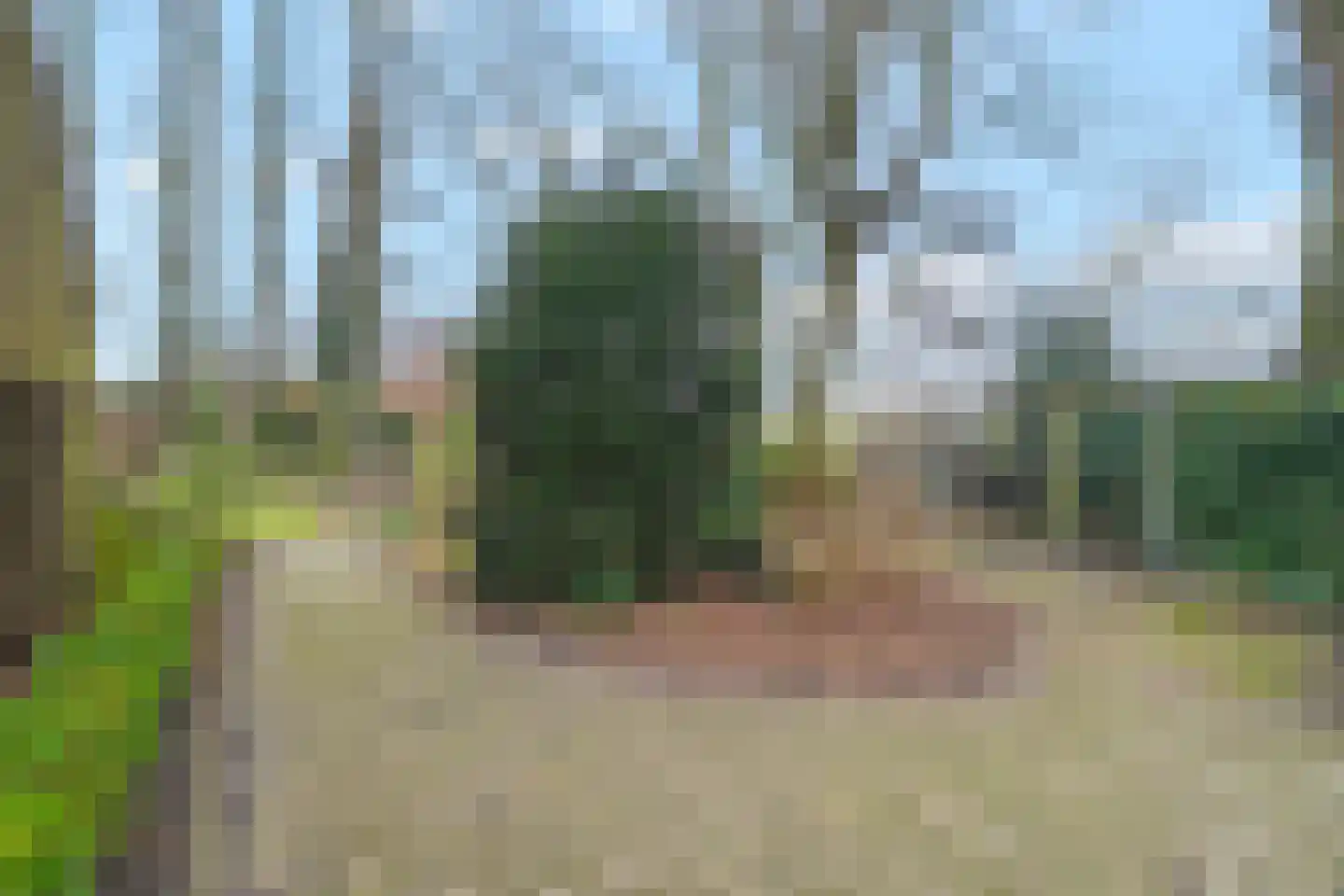 Balgweg 10 Breezand thumbnail 31
