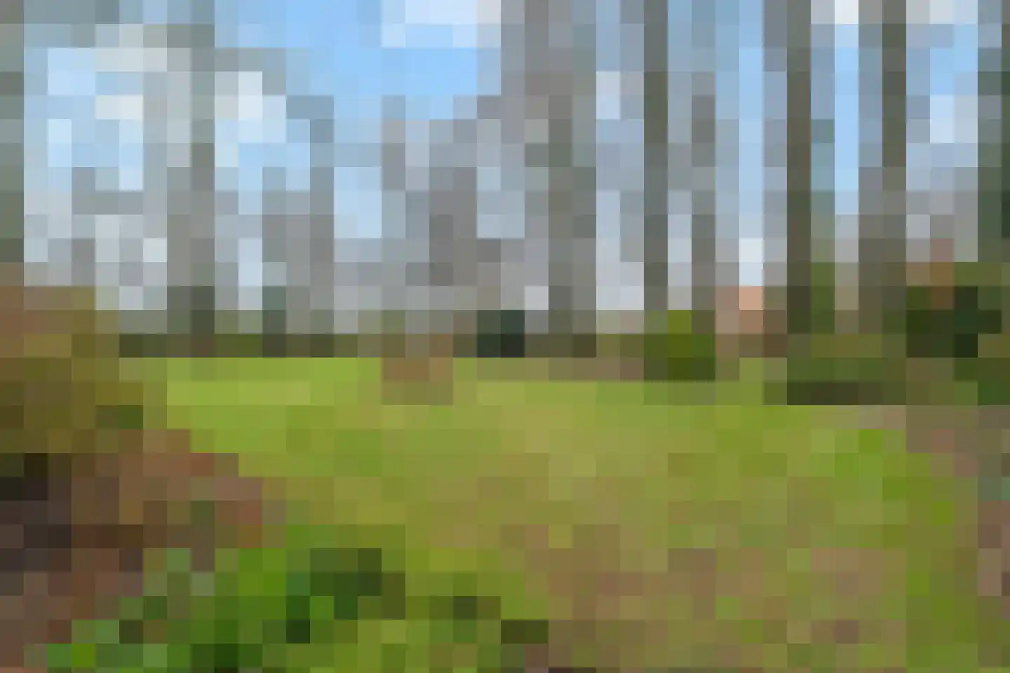 Balgweg 10 Breezand thumbnail 37