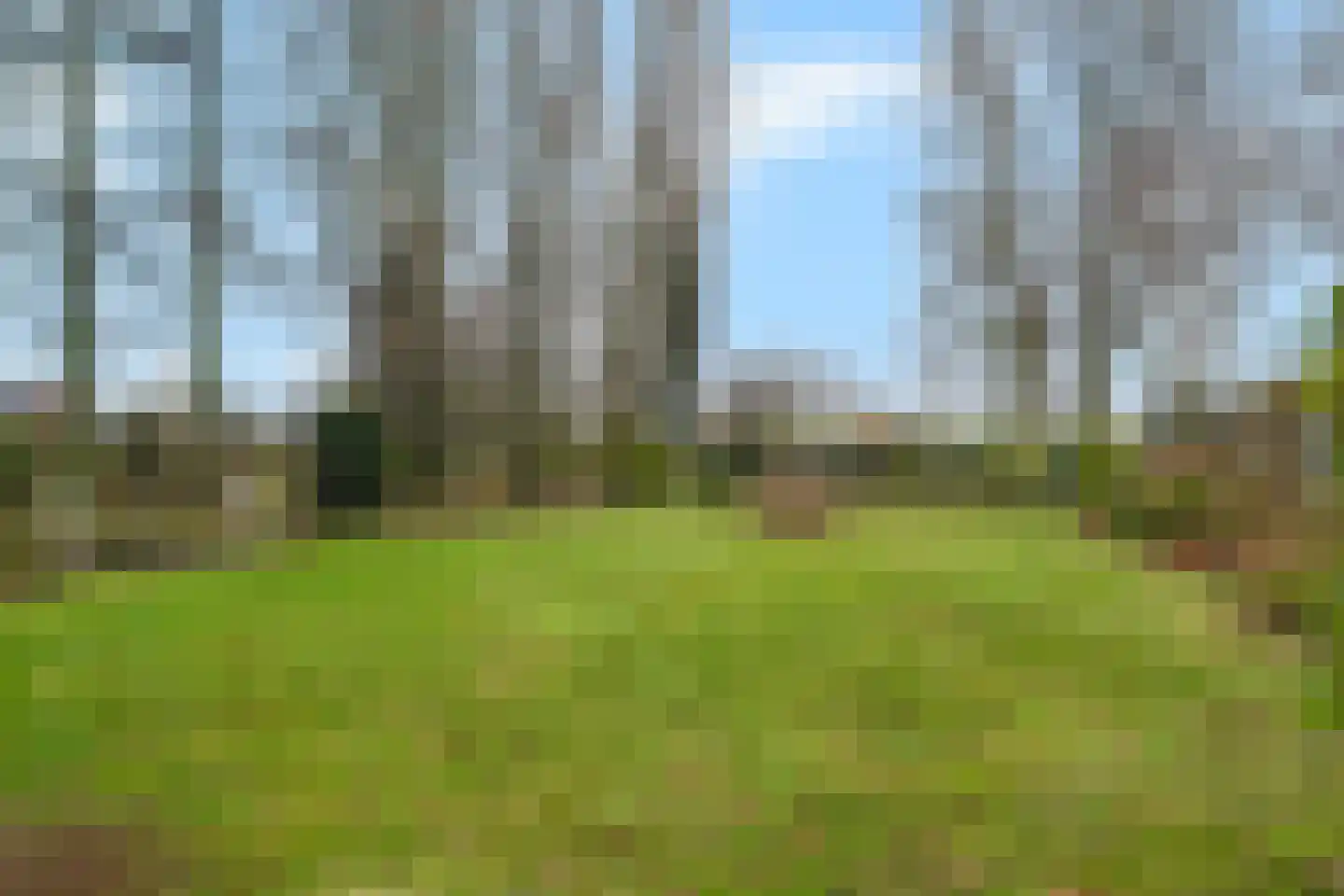 Balgweg 10 Breezand thumbnail 38