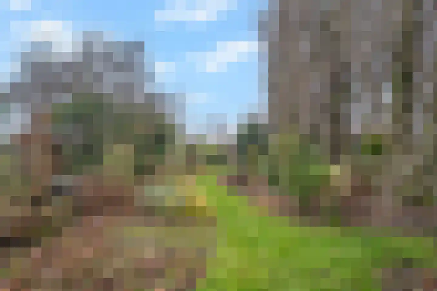 Balgweg 10 Breezand thumbnail 41