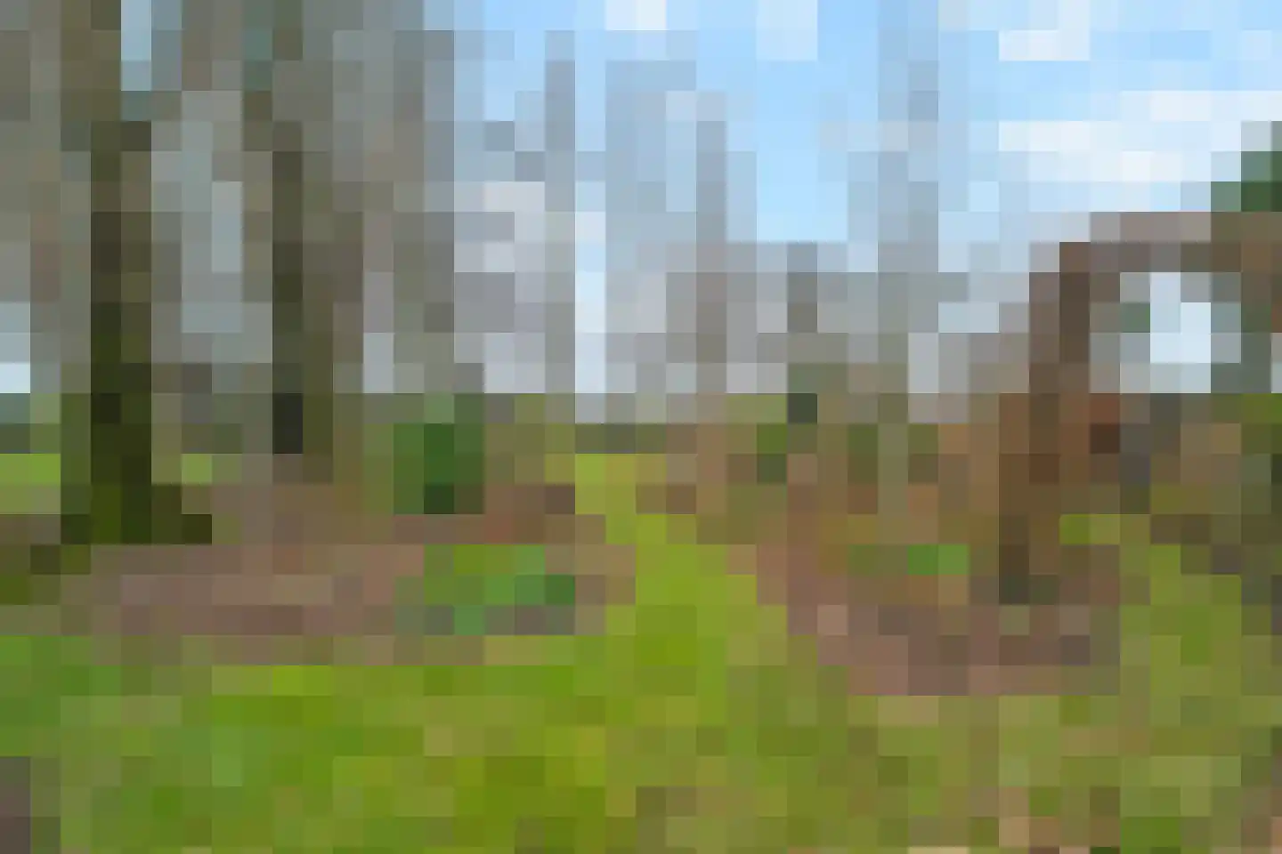 Balgweg 10 Breezand thumbnail 43