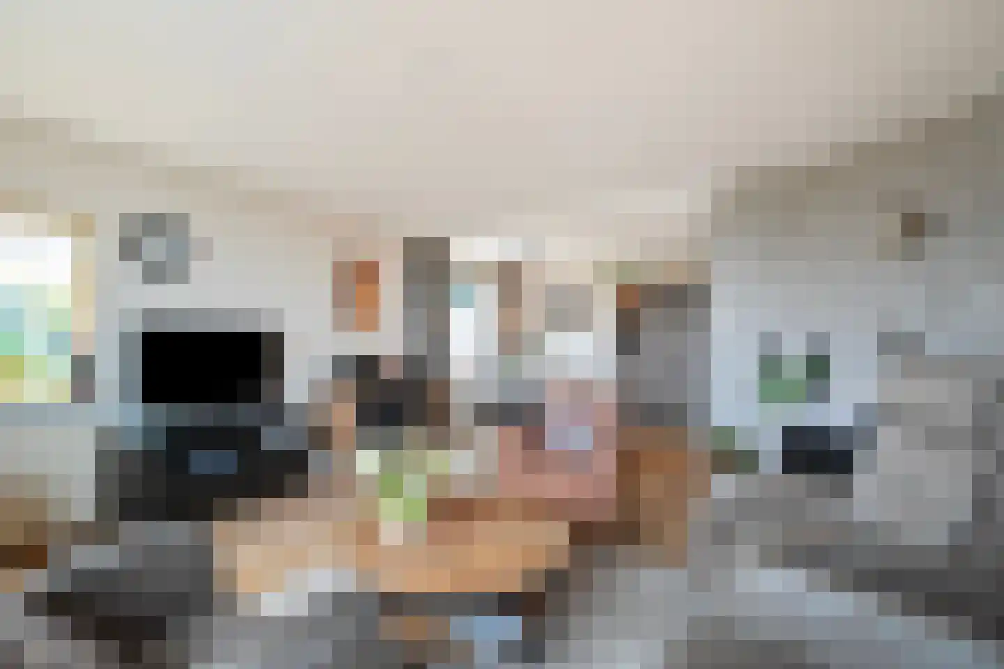 Balgweg 10 Breezand thumbnail 9
